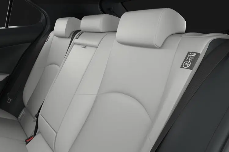 Lexus UX 300h Hatchback E4 2.0 F Sport CVT close up