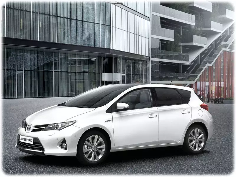 auris