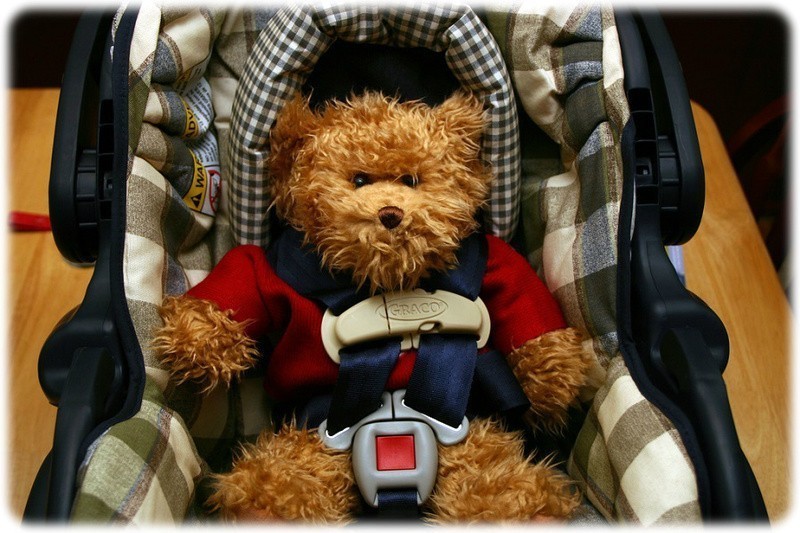 Teddy bear, all buckled up in a car seat (cc) Michael Beck