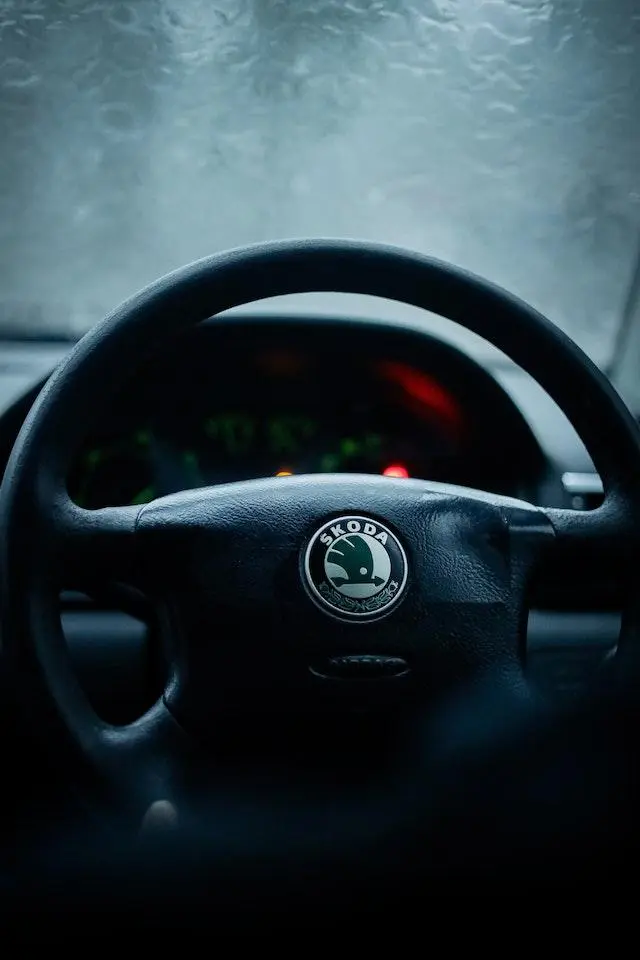 Image of a Skoda Steering Wheel
