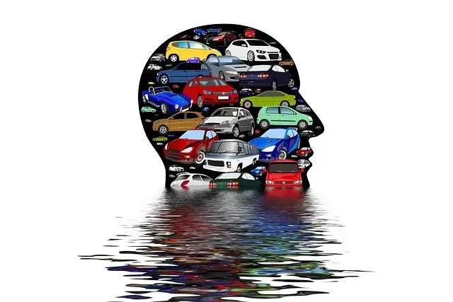 Image of a Car Petrol Head