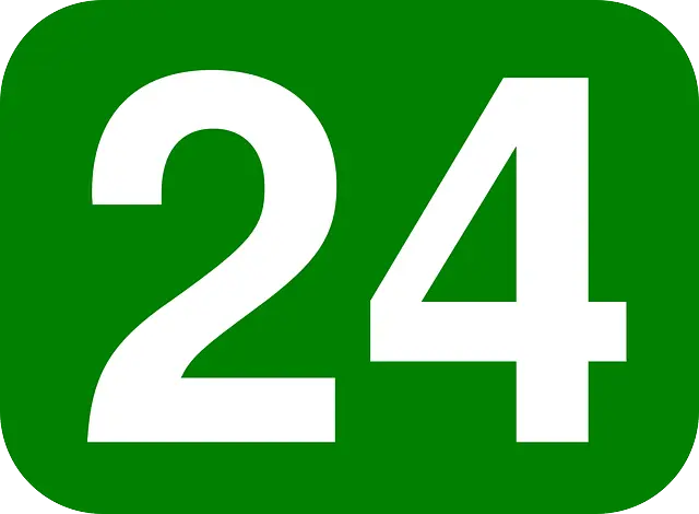 Image of the 2024 Registration Plate